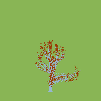 greenshift tree