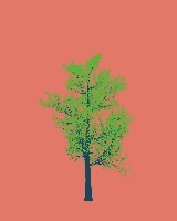 greenshift tree
