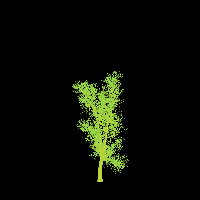 greenshift tree