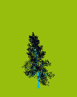 greenshift tree