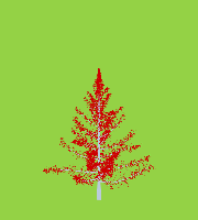 greenshift tree