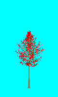 greenshift tree