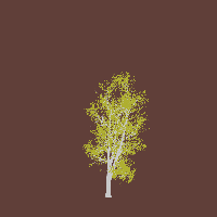 greenshift tree