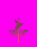greenshift tree