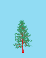greenshift tree
