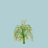 greenshift tree