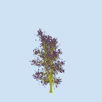 greenshift tree