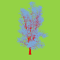 greenshift tree