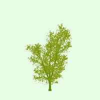 greenshift tree