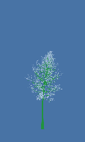 greenshift tree
