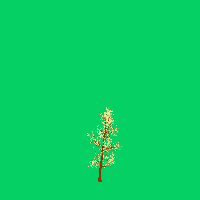 greenshift tree