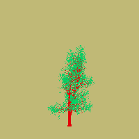 greenshift tree