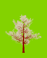 greenshift tree