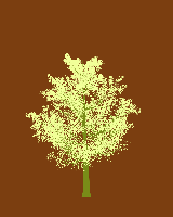 greenshift tree