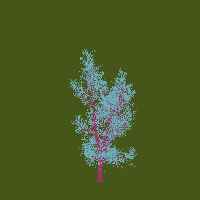 greenshift tree