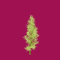 greenshift tree