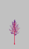 greenshift tree