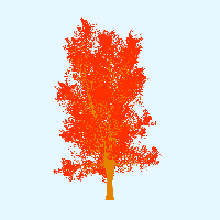 greenshift tree