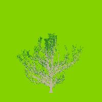 greenshift tree