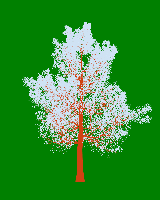 greenshift tree