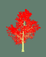 greenshift tree