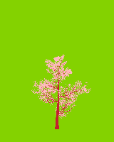 greenshift tree