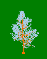 greenshift tree