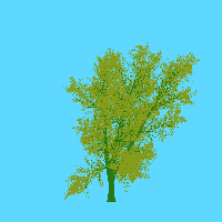 greenshift tree