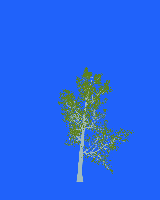 greenshift tree