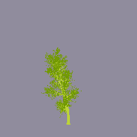 greenshift tree