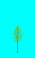 greenshift tree