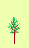 greenshift tree