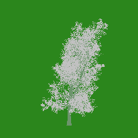 greenshift tree
