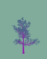 greenshift tree