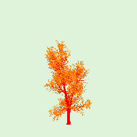 greenshift tree