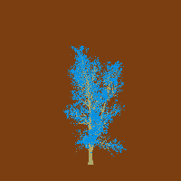 greenshift tree