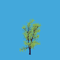 greenshift tree