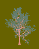 greenshift tree
