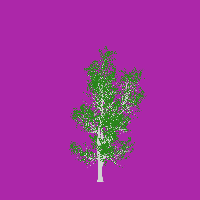 greenshift tree