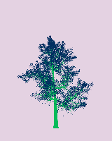 greenshift tree