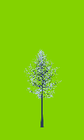 greenshift tree