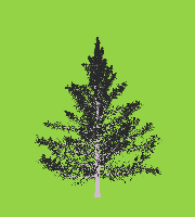 greenshift tree