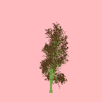 greenshift tree