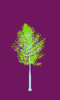 greenshift tree