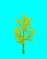 greenshift tree