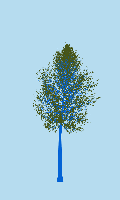 greenshift tree
