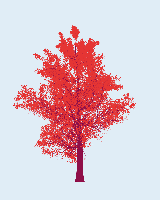 greenshift tree
