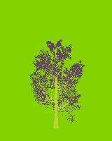 greenshift tree