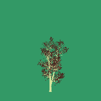 greenshift tree