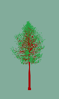 greenshift tree